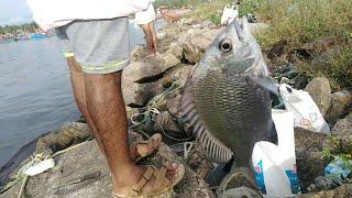 Fishing At Kozhikode Beach In Kerala.#MTMETAL കോഴിക്കോട് ബീച്ചിൽ നിന്നും ഒരു നാടൻ ചെമീൻ  ചൂണ്ടയിടൽ.!