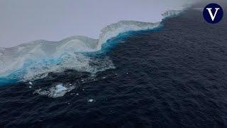 The world's largest iceberg runs aground after years of drifting from Antarctica