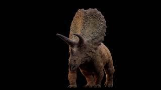 Torosaurus Reveal - INSTINCTION