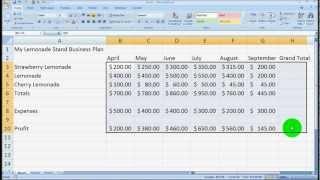 Microsoft Excel Overview for Beginners Tutorial - Excel 2003, 2007, 2010