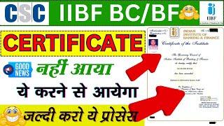 IIBF Certificate Not Received | How to Get IIBF Certificate | CSC IIBF Certificate Download | IIBF