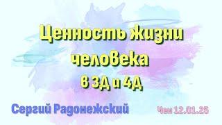 Софоос. чен.12.01.25. Сергий Радонежский. Ценность жизни человека в 3Д и 4Д.