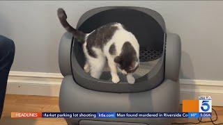 This $600 Robot Litter Box is Life Changing