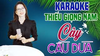 Karaoke Song Ca | CÂY CẦU DỪA - Thiếu Giọng Nam | Song Ca Với Lê Liễu