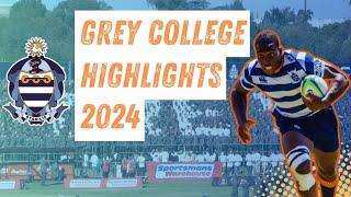 Grey College Rugby Highlights 2024 Best Tries & Plays! 