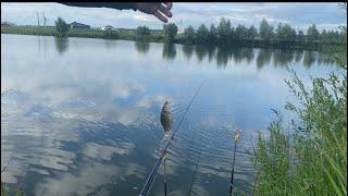 Много рыбы, рыбалка на платине в Буинском районе #fishing #охотарыбалка #рыбалка #fish #карась