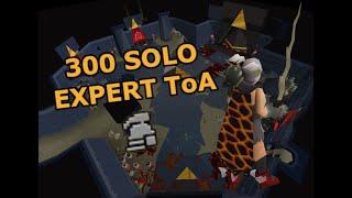 Loot From 300 Solo Expert ToA (400 Invo)