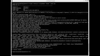 Nikto Web Scanner Tutorial on Windows : Scan the web