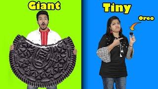 Giant Food Vs Tiny Food Challenge | Food Challenge India | Hungry Birds Challenge