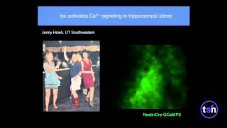 Drug Discovery & Endogenous Stem Cells - Jay Schneider, UT Southwestern