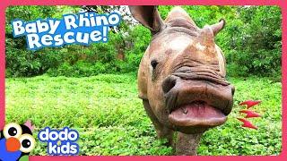 Rescuers Give Baby Rhino His First Mud Bath | Dodo Kids | Rescued!
