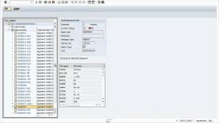 SAP Sales and Distributio Output and EDI