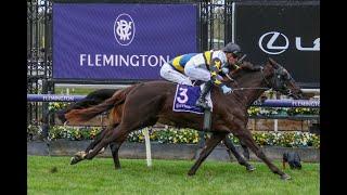 Flemington Cup Day - (20/7/24) Horse Racing Tips! BIG SATURDAY UPCOMING!!!