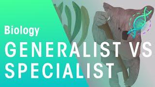 Generalists vs Specialists | Ecology & Environment | Biology | FuseSchool