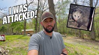 I POKED OPOSSUM!