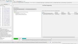 How to: DTS Monaco - multi-file + bin file flashing