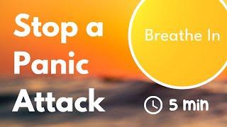 Stop a Panic Attack Now with this Breathing Exercise | 7.5 Breaths Per Minute  | 4/4 Second Timer