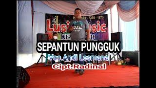 LAGU DAERAH JAMBI SEPANTUN PUNGGUK - VOC.ANDI LESMANA - CIPT.RADINAL - PLAYER WARID LBR