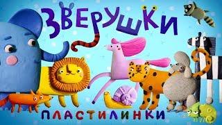 Пластилинки Зверушки  Все серии подряд   Премьера на канале Союзмультфильм HD