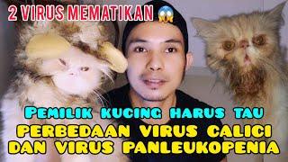 VIRUS KUCING CALICI & VIRUS KUCING PANLEUKOPENIA - Perbedaan virus calici dan virus panleukopenia