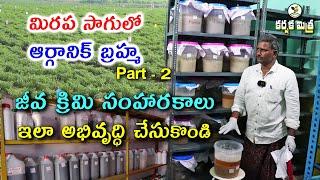 జీవ క్రిమి సంహారకాలు తయారీ || Biopesticides Preparation || Organic Chilli -Part 2 || Karshaka Mitra