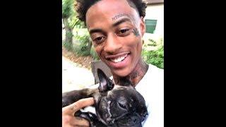 FUNNIEST Boonk Stealing Vines Compilation | Magnolia