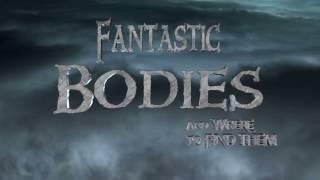 Fantastic Bodies and Where to Find Them