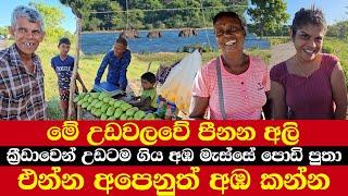 එන්න අපෙනුත් අඹ කන්න | මේ උඩවලවේ පීනන අලි | ක්‍රීඩාවෙන් උඩටම ගිය අඹ මැස්සේ පොඩි පුතා