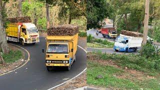 MUSIM TEBU 2025 AKAN HADIR LAGI BANYAK TRUK BERBAGAI DAERAH