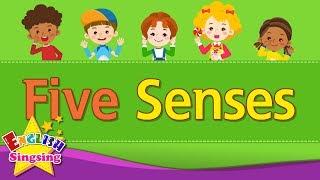 Kids vocabulary - Five Senses - Learn English for kids - English educational video