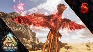 ARK SURVIVAL ASCENDED HOW TO TAME A PHOENIX