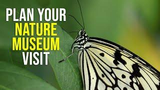 Plan Your Visit to the Nature Museum | Know Before You Go