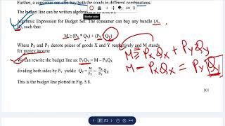 BECC 101 BUDGET LINE || Consumer Behavior