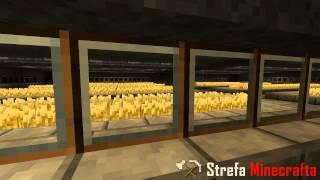 Strefa Minecrafta  - Vault 2