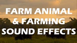 Animal Farm - Excellent Farm Animal Sound Effects & Farming sounds