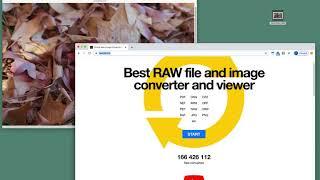 Converting a raw image file into JPEG format with no special software