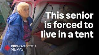 Halifax seniors desperate for safe housing