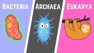 The Three Domains of Life -Bacteria-Archaea-Eukarya