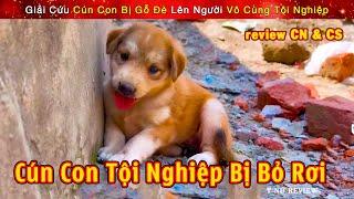 Giải Cứu Cún Con Bị Chủ Bỏ Rơi Vô Cùng Dễ Thương || Review Con Người Và Cuộc Sống