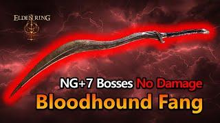 Elden Ring - Bloodhound Fang vs NG+7 Main Bosses (No Damage) [1.16 ver]