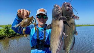 Loading Up on Fish, Crabs in Louisiana Swamp! (Catch & Cook)