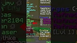 WATCH OUT FOR THIS SCAM  | Hypixel Skyblock