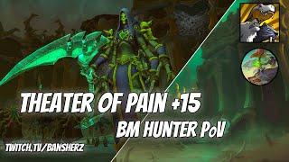 +15 Theater of Pain BM Hunter PoV