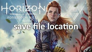 Horizon Forbidden West save file location