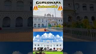 gurudwara nankana sahib (Pakistan)#sikhism #travel #shortsvideo #gurudwara #history #guru #sikh