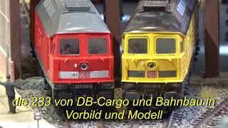 Die 233 von DB Cargo und Bahnbau in Vorbild und Modell