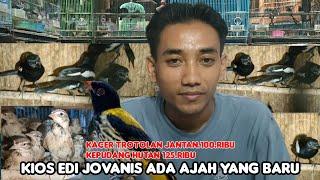 KIOS EDI JOVANIS ADA AJAH YANG BARU