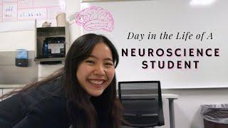 Day in the Life of a Neuroscience Student 