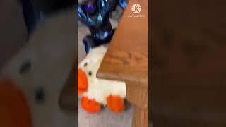 ayoutubeshort.avi #gemmy #funny #meme #bingus #robosapien #robot #shorts #fyp