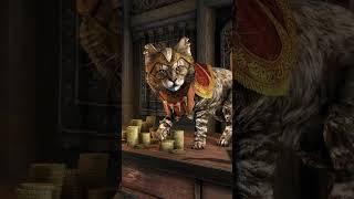 The Housecat Khajiit #shorts #skyrim #gaming